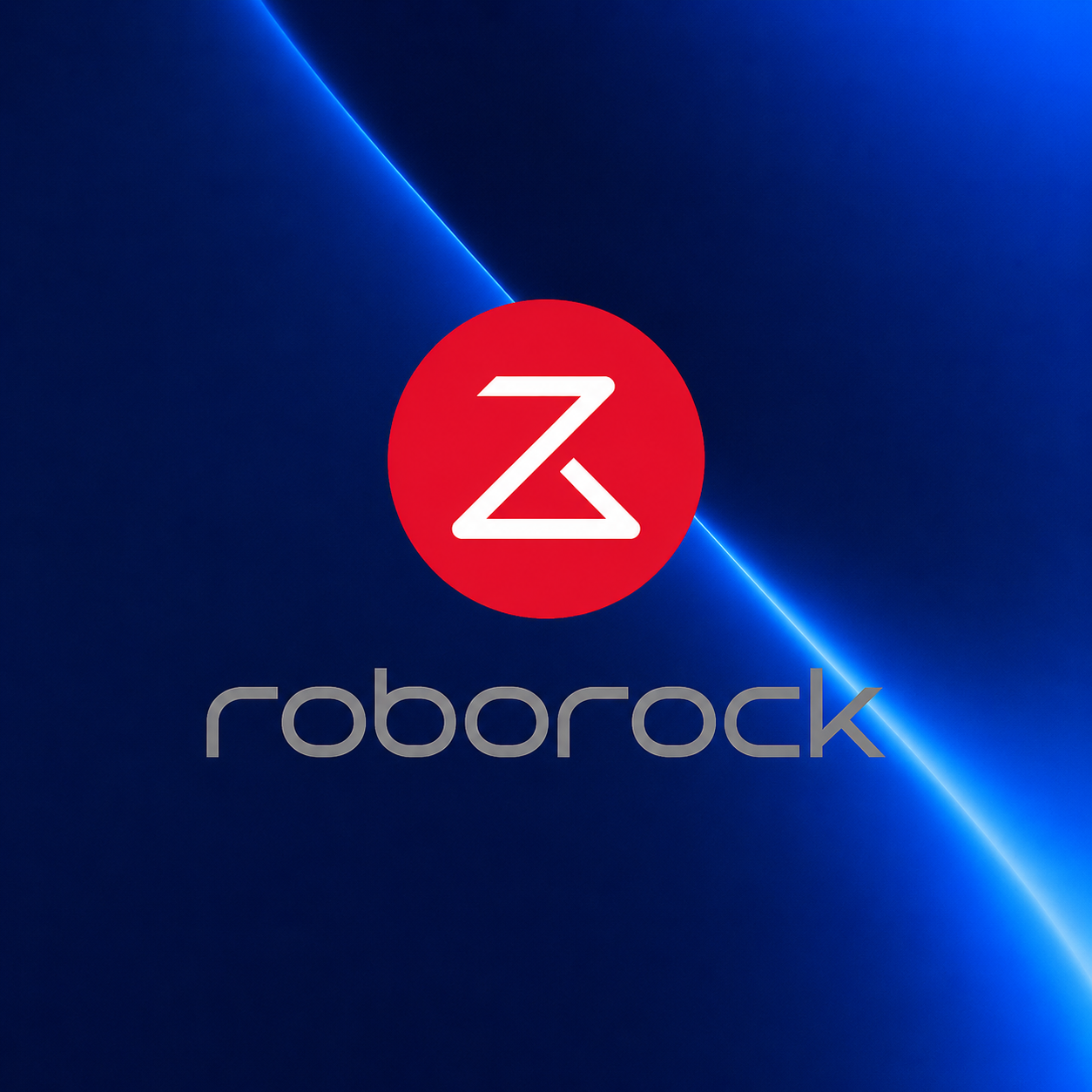 Roborock